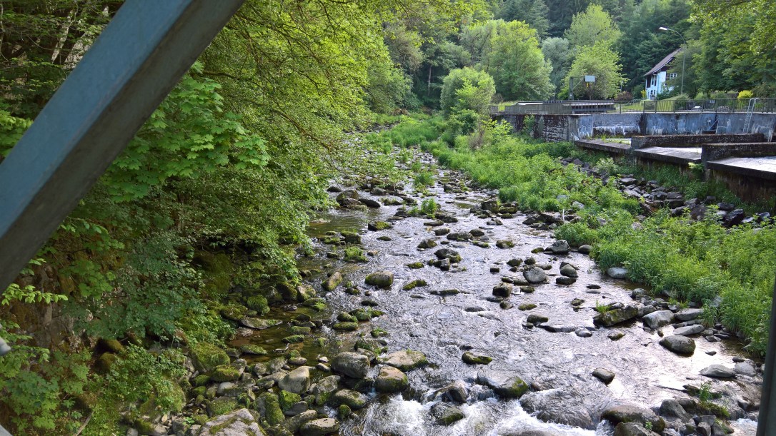 WP_20170603_19_36_35_Pro