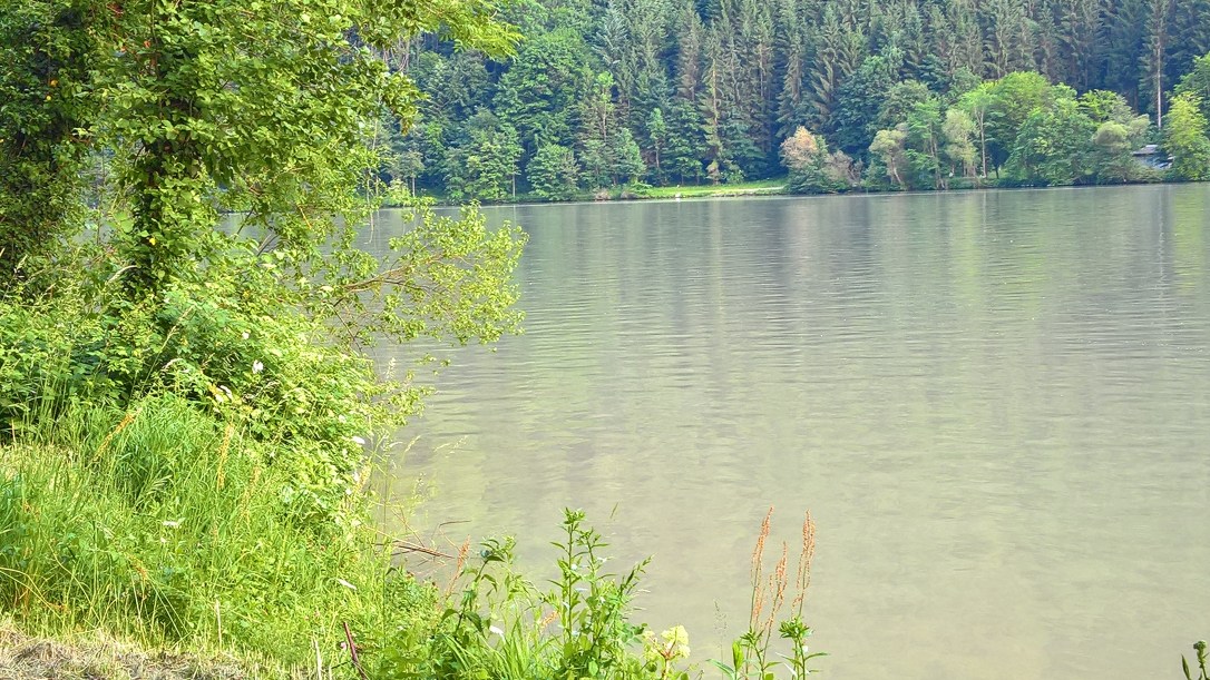 WP_20170603_19_55_16_Pro